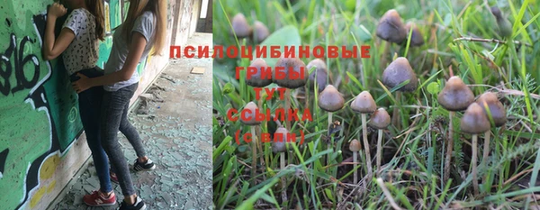 соль ск Абинск