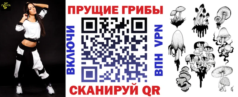 Галлюциногенные грибы Psilocybe  Камызяк 
