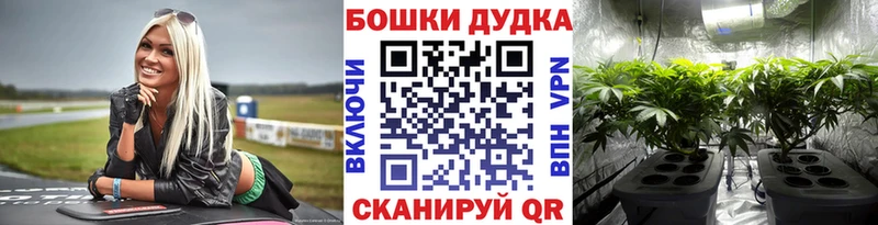 Канабис Bruce Banner  магазин    Камызяк 